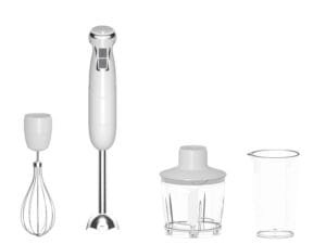 60191000W Powerful stick Blender 12 6019 hand blender
